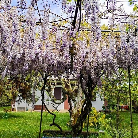 Casetta in Collina Sezze Esterno foto