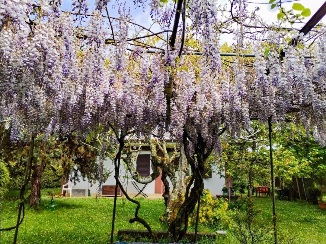 Casetta in Collina Sezze Esterno foto